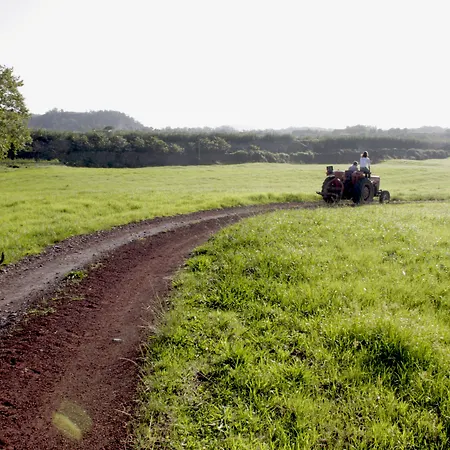 Εξοχικό σπίτι Pico Do Refugio -