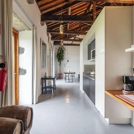 Pico Do Refugio - Εξοχικό σπίτι Ribeira Grande