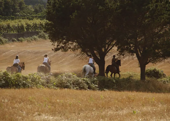 Pico Do Refugio - Country house *