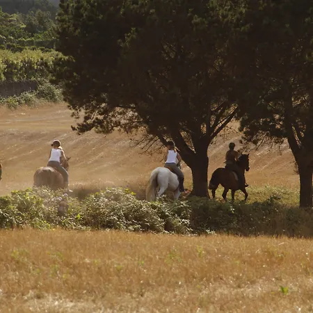 Pico Do Refúgio - Casa rural *