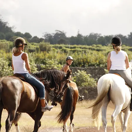 Casa rural Pico Do Refúgio - Ribeira Grande